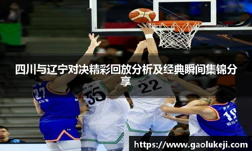 四川与辽宁对决精彩回放分析及经典瞬间集锦分享